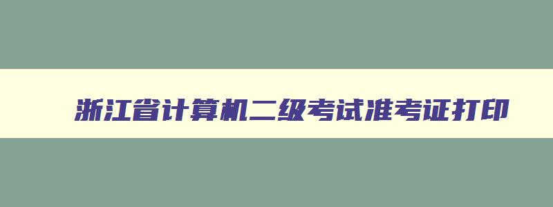 浙江省计算机二级考试准考证打印