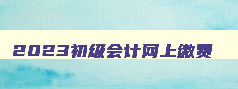 2023初级会计网上缴费,2023年初级会计网上缴费